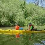 Belgrade War Island Kayak Tour - What to Expect from the Belgrade War Island Kayak Tour