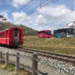 Bellagio/Lezzeno/Oliveto Lario to/from Milan Malpensa Apt (Private Transfer) - What Makes This Service Special?