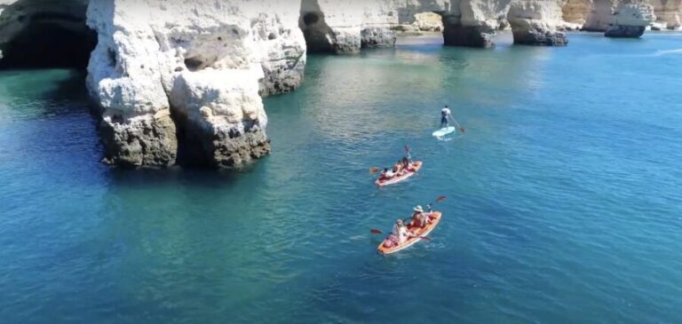 Benagil: Caves, Coves & Secret Beaches Guided Kayaking Tour - Who Is This Tour Perfect For?