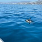 Benalmadena: Boat Rental in Malaga for hours - Detailed Breakdown of the Experience