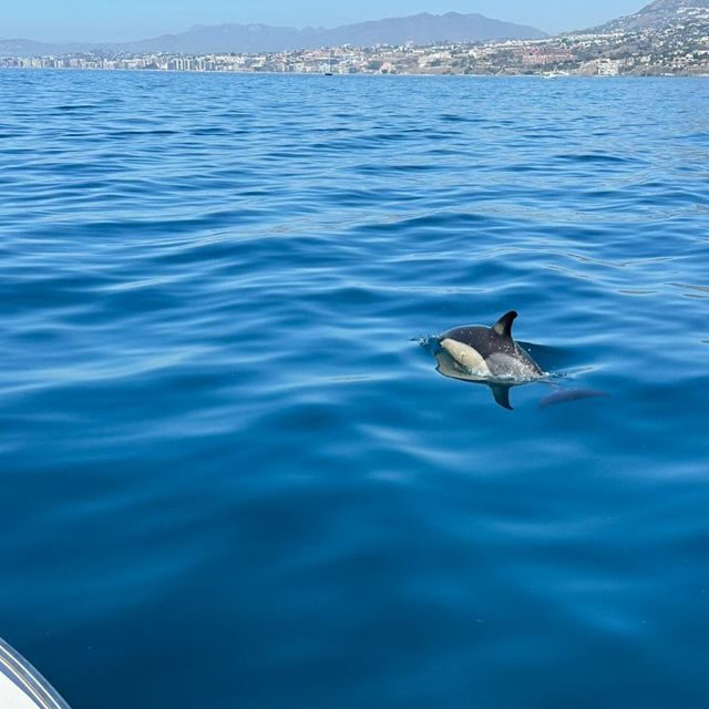 Benalmadena: Boat Rental in Malaga for hours - Detailed Breakdown of the Experience