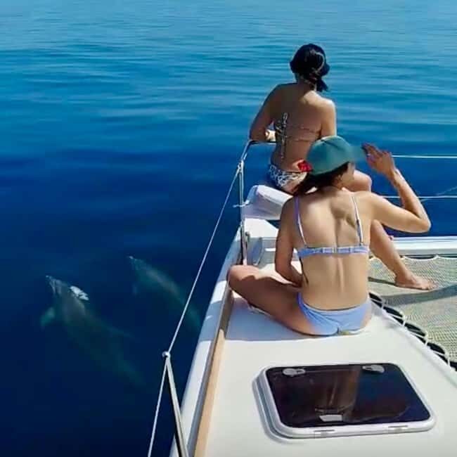 Benalmádena: Catamaran with dolphin watching and drinks - Who Would Love This Tour?