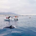 Benalmadena: Private Boat Trip with Drinks & Snacks - Why This Experience Is a Great Value