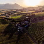 Benevento: picnic among the olive groves of the Sannio and tour of the estate - What’s Included and What to Expect