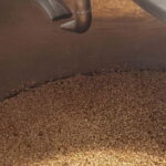 Benevento: visit and tasting at a brewery in Apollosa - Who Should Consider This Tour?