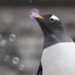 Bergen: Bergen Aquarium Entry Ticket - A Deep Dive into Bergen Aquarium