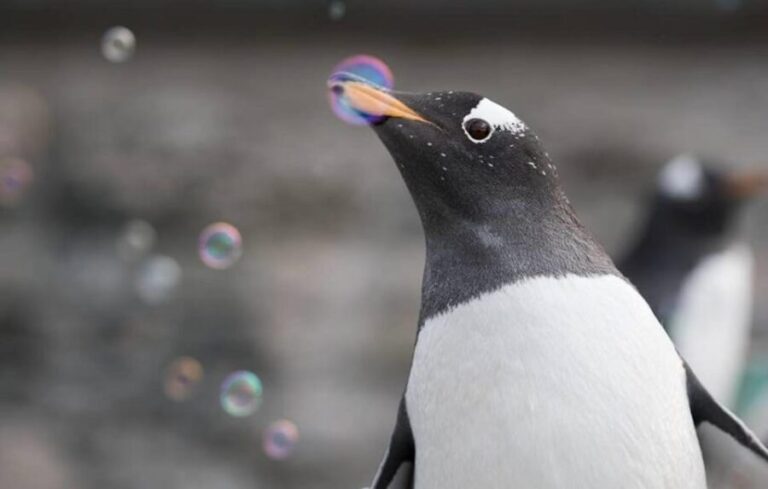 Bergen: Bergen Aquarium Entry Ticket - A Deep Dive into Bergen Aquarium