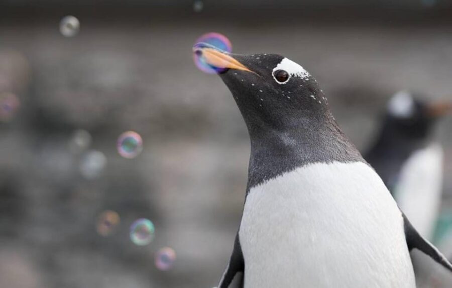 Bergen: Bergen Aquarium Entry Ticket - A Deep Dive into Bergen Aquarium