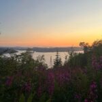 Bergen Magical Nature Tour | ViFlowExperience - A Detailed Look into the Bergen Magical Nature Tour