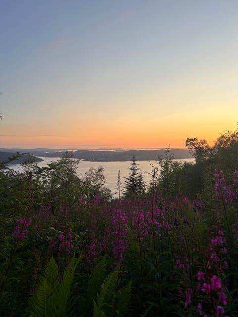 Bergen Magical Nature Tour | ViFlowExperience - A Detailed Look into the Bergen Magical Nature Tour