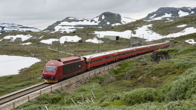 Bergen: Nærøyfjord Cruise and Flåm Railway Ride to Oslo - What’s Included and What’s Not