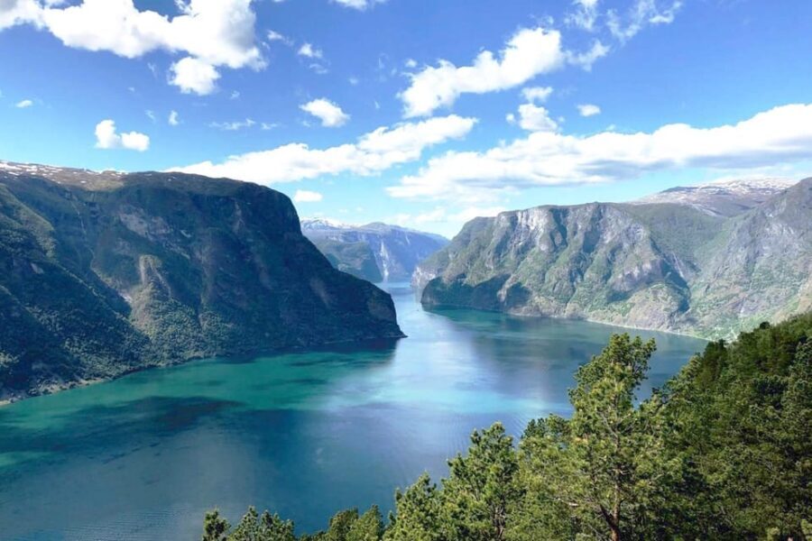 Bergen: Nærøyfjord Cruise & Flåm Railway Day Trip to Oslo - What Makes This Tour Stand Out?