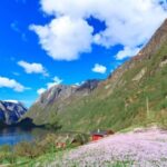 Bergen: Nærøyfjorden, Flåm, and Stegastein Guided Bus Tour - Transportation and Overall Value