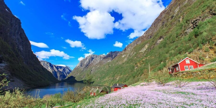 Bergen: Nærøyfjorden, Flåm, and Stegastein Guided Bus Tour - Transportation and Overall Value
