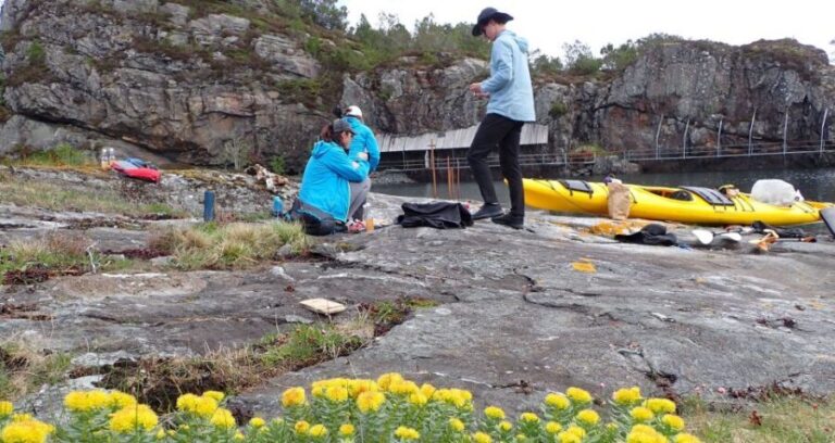 Bergen: Øygarden Islets Guided Kayaking Tour - The Itinerary: What to Expect