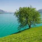 Bergen: Self-Guided Roundtrip (Sognefjord Cruise 5h & Flamsbana) - The Experience in Practice