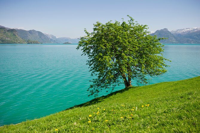 Bergen: Self-Guided Roundtrip (Sognefjord Cruise 5h & Flamsbana) - The Experience in Practice