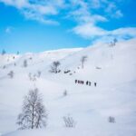 Bergen: Snowshoe Hike - What to Expect on the Snowshoe Hike