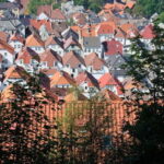 Bergen: Urban Mountain Hiking and History Tour - Traversing Bergen’s Old Neighborhoods: Skuteviken and Sandviken