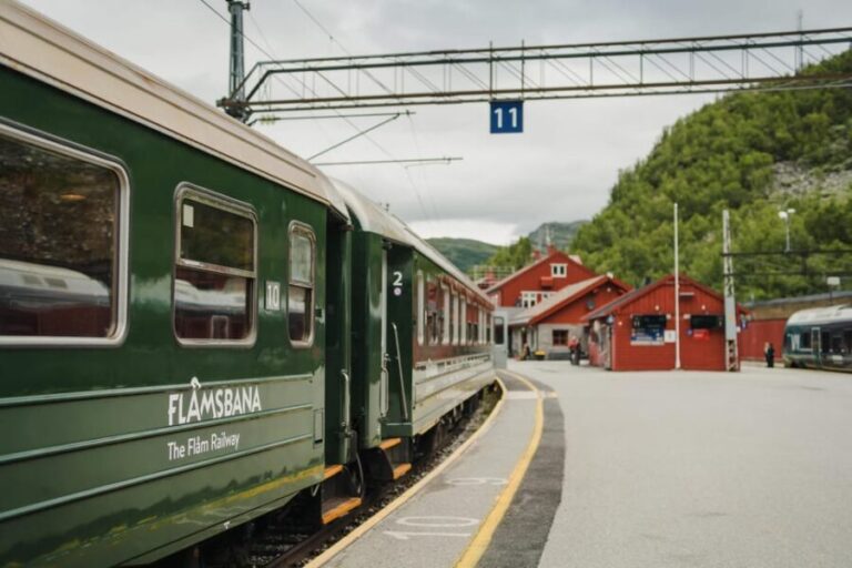 Bergen: Viking Village, Nærøyfjorden Cruise and Flåm Railway - Transportation and Logistics