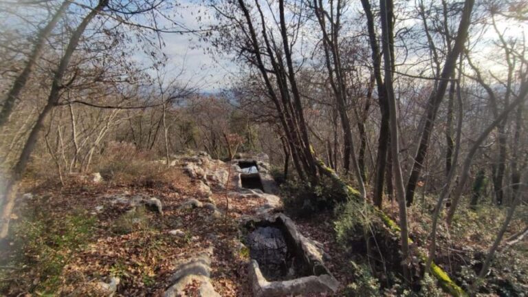 Berici Hills: Guided Hike to Alonte 21/09 only! - What to Expect on the Day