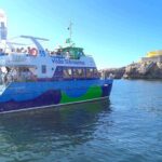 Berlengas Island Catamaran Tour + Snorkeling - What the Reviews Reveal