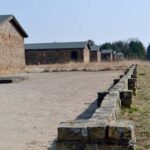 Berlin: Bus Tour to Sachsenhausen Concentration Camp & East Side Gallery - The Value of This Tour