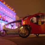 Berlin Express: Private 1-Hour E-Rickshaw Ride - Who Will Love This Tour?