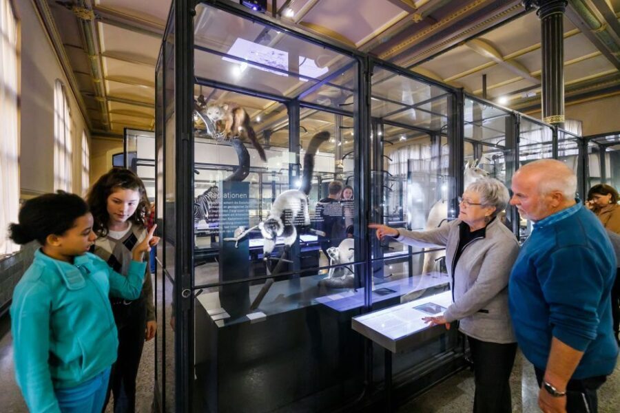 Berlin: Natural History Museum Entrance Ticket - FAQs