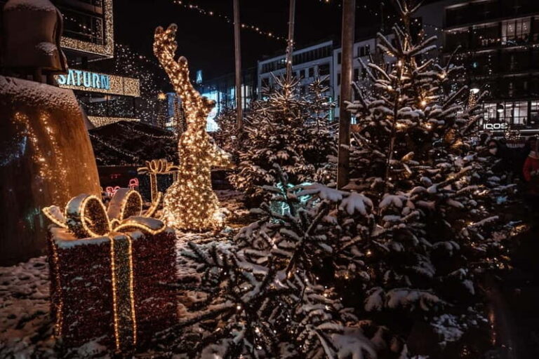 Berlin: Private Christmas Market Tour - Who Should Consider This Tour?