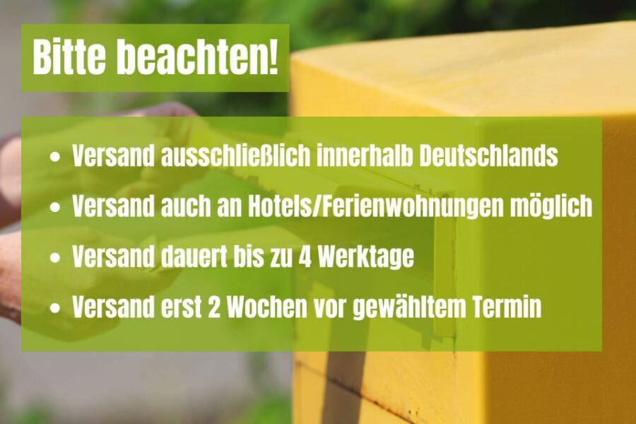 Berlin: Scavenger Hunt through Friedrichshain - What’s Included & What’s Not