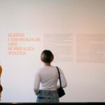 Berlin: Scharf-Gerstenberg Collection Ticket - Who Will Love This Experience?