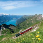 Berner Oberland: Swiss Half Fare & STS Holder 2nd Class Pass - How It Works