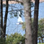 Berrocalejo: Sailing Class in Natural Park - Who Should Consider This Experience?