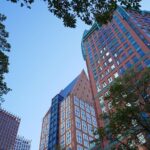 Best Highlights of The Hague with a local - Who Will Love This Tour?