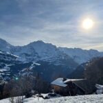 Best of Bernese Oberland & Swiss Countryside Tour - The Sum Up: Who Is This Tour Best For?