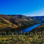Best of Douro Valley Wine Full Day Private Tour - Who Should Consider This Tour?