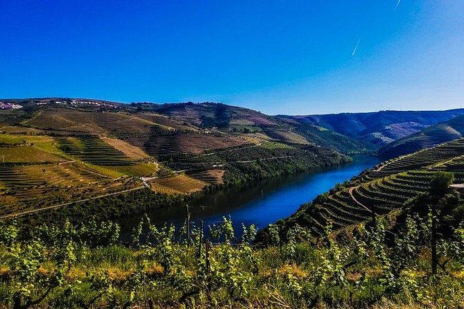 Best of Douro Valley Wine Full Day Private Tour - Who Should Consider This Tour?