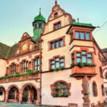 Best of Freiburg: Private Walking Tour with a Local - What to Expect & Practical Details