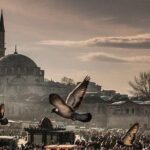 Best Of Istanbul :1-2 or 3 Day Private Istanbul Guided Tour - Practical Aspects and Value