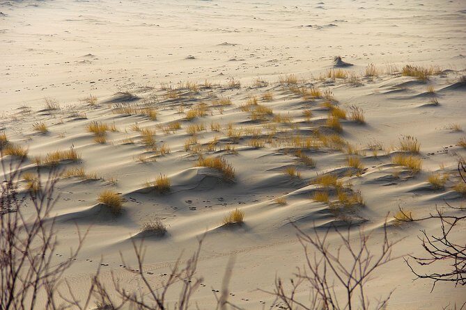 Best of Klaipeda & Curonian Spit Join-in Shore Excursion - Pricing and Value