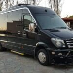 Best Of Lindos & Rhodes - Guided Private Tour - Half Day - Groups Up 19 People - Who Should Book This Tour?