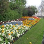 Best of London Private Day Tour - Price and Value Analysis