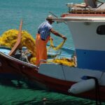 Best of Mykonos Island 4-Hour Private Tour - Who Should Book This Tour?