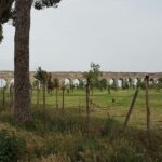 Best of Rome & Vatican Skip the line Private Tour - Authentic Experiences and Practical Tips