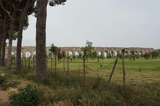 Best of Rome & Vatican Skip the line Private Tour - Authentic Experiences and Practical Tips