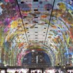 Best of Rotterdam: small-group walking tour - A Detailed Look at the Tour Itinerary