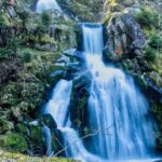 Best of the Black Forest and Rhinefalls from Zurich - Authentic Experiences & Insights from Past Travelers