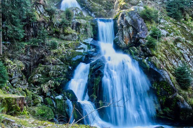 Best of the Black Forest and Rhinefalls from Zurich - Authentic Experiences & Insights from Past Travelers