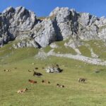 Best of the Uri Alps: A fjord-like lake, glorious peaks and sustainable tourism - Final Thoughts